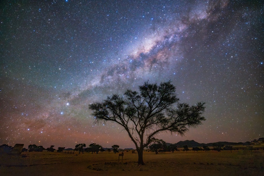 Starry night sky over Namibia desert with dry tree and mountain silhouettes
