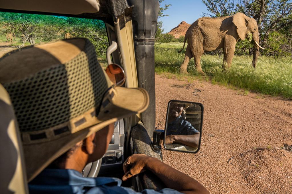 A safari vehicle captures a close view of an elephant grazing beside a dirt road, with a person in a hat visible inside the vehicle.