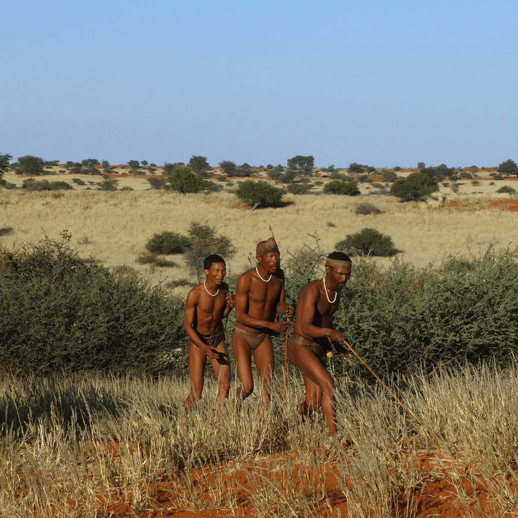 Kalahari landscape, Namibia