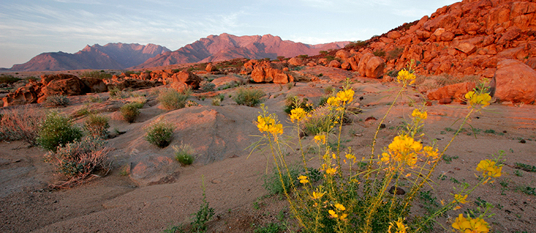Keetmanshoop area, southern Namibia