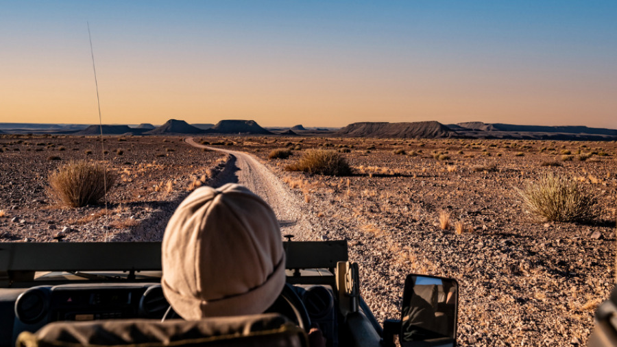 Game drive near the Fish River Canyon