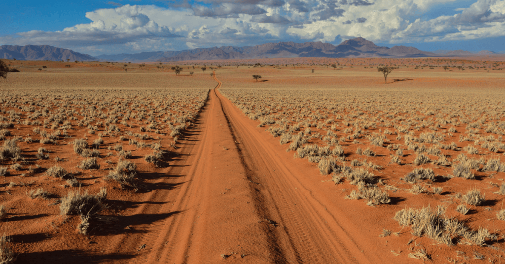 Namib desert landscape
