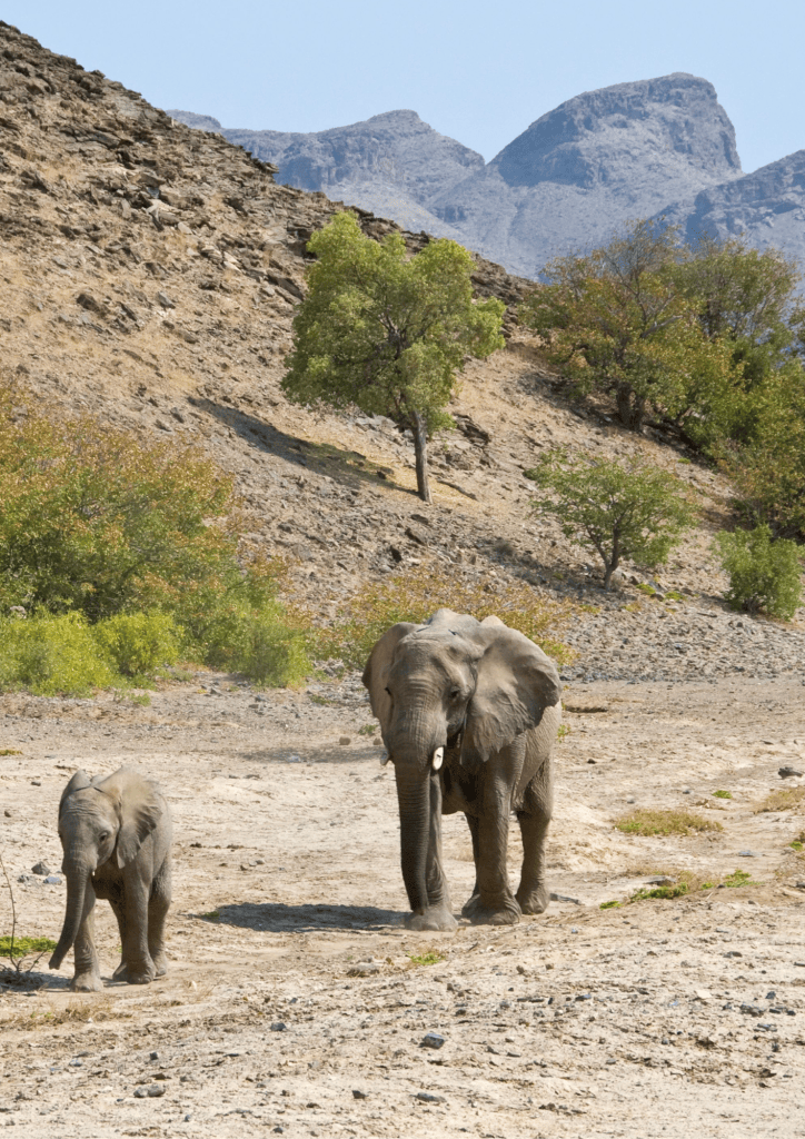 Damaraland landscape, Namibia