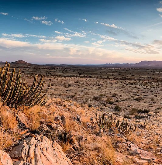 Kgalagadi Transfrontier Park