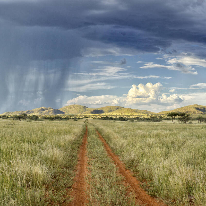 Wildlife in the Kgalagadi Transfrontier Park