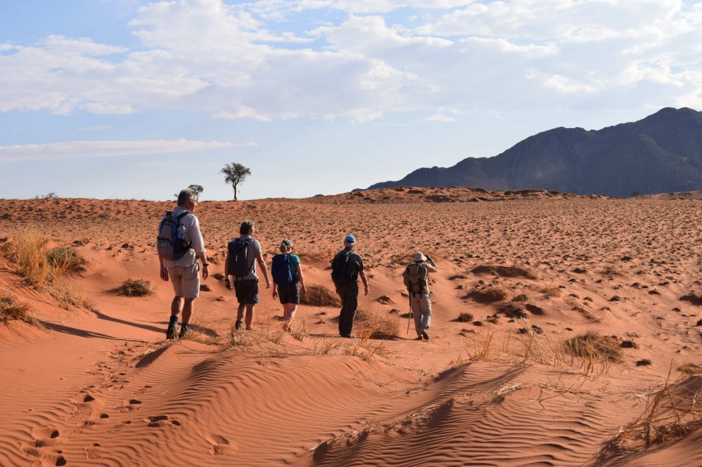 Walking the Tok Tokkie Trail in the NamibRand