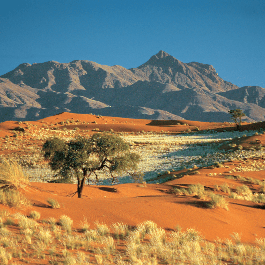 NamibRand Nature Reserve, Namibia